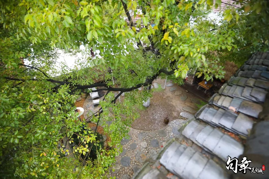 火车来斯，阿狸乐园…国庆到江北玩，先看这篇！躲避拥堵，尽知一切