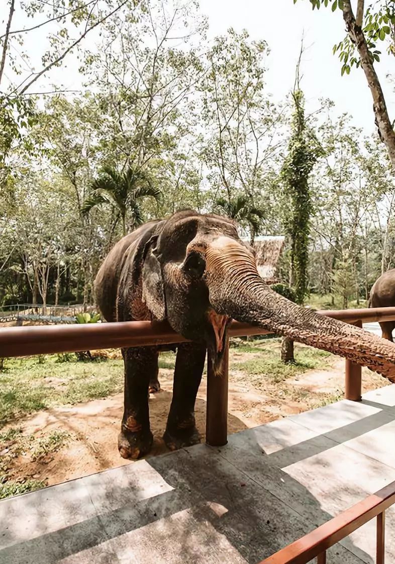 在普吉岛怎么玩,在普吉岛要注意什么