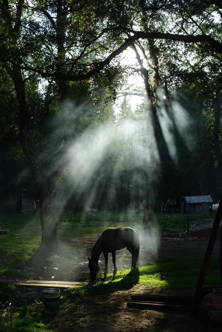 选好出行路线,选日期出行