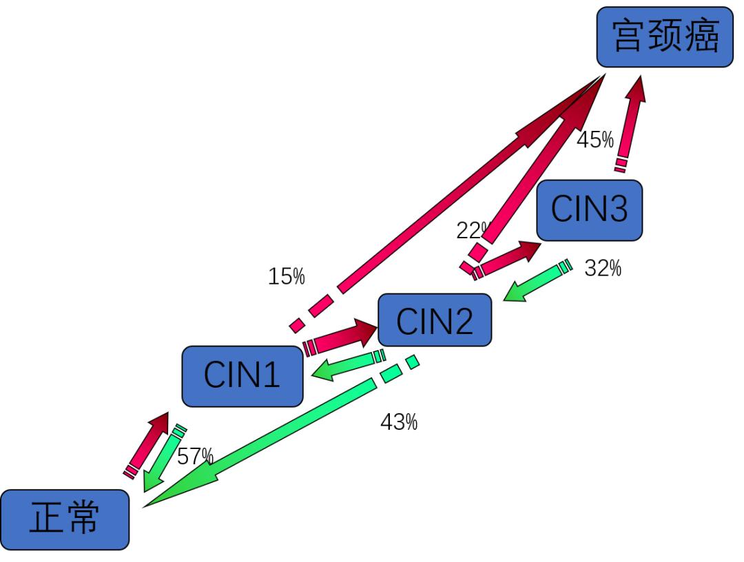 从hpv感染发展到宫颈癌要几个阶段,hpv感染到宫颈癌的真实经历