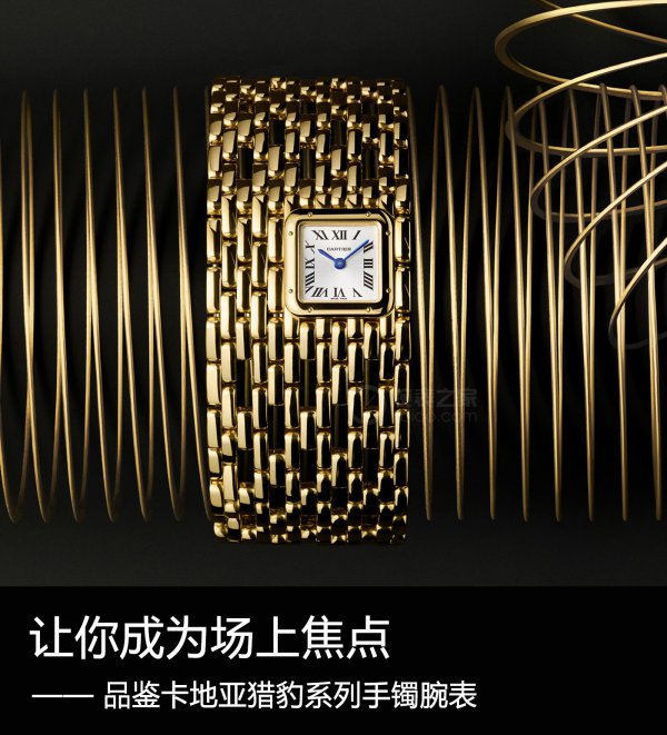 让你成为众人的焦点,让你成为聚光灯焦点