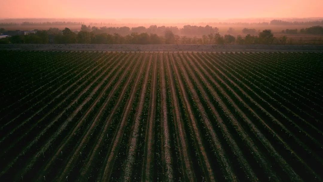 宁夏有多少神奇的故事,宁夏古老的传说