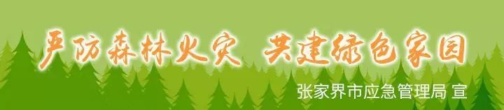 张家界全景夜景视频,张家界夜景灯光秀视频