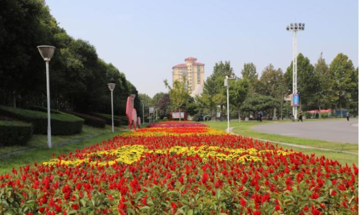 大变样！巩义再次颜值“逆天”，快去拍拍拍