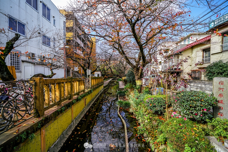 哆啦a梦在日本哪里,哆啦a梦在日本的哪里