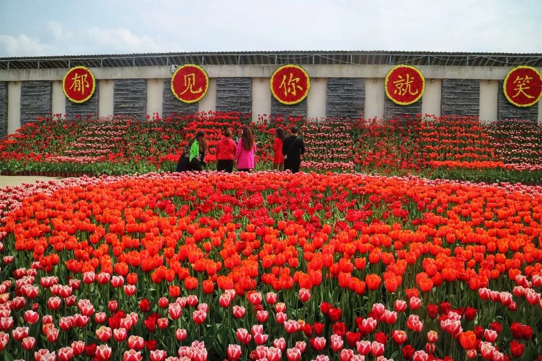 国庆期间贵阳出发自驾游路线,国庆小长假去哪玩贵阳