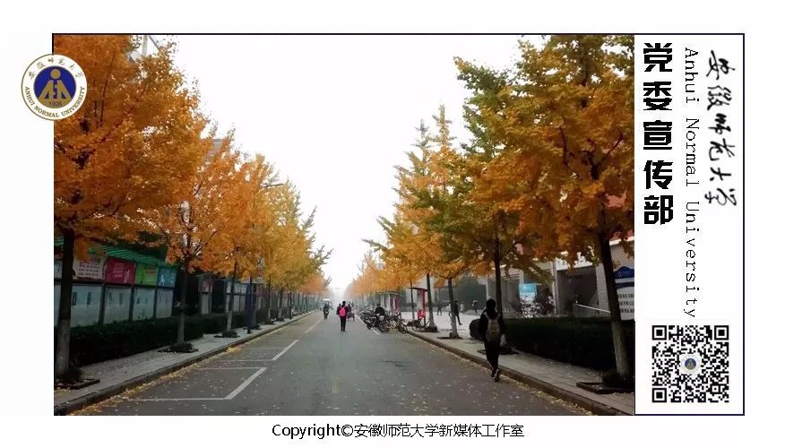 上海师范啦啦队,重庆师范大学啦啦队