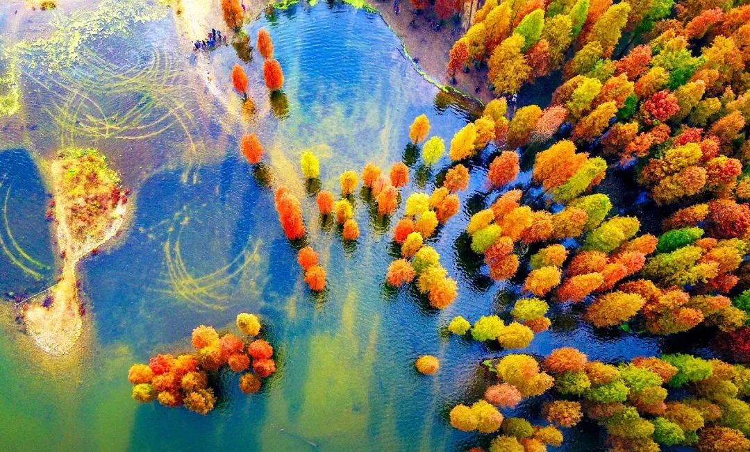 盛世如愿缅怀先烈|来浙里办文旅专区寻一条红色旅游线路，出发！