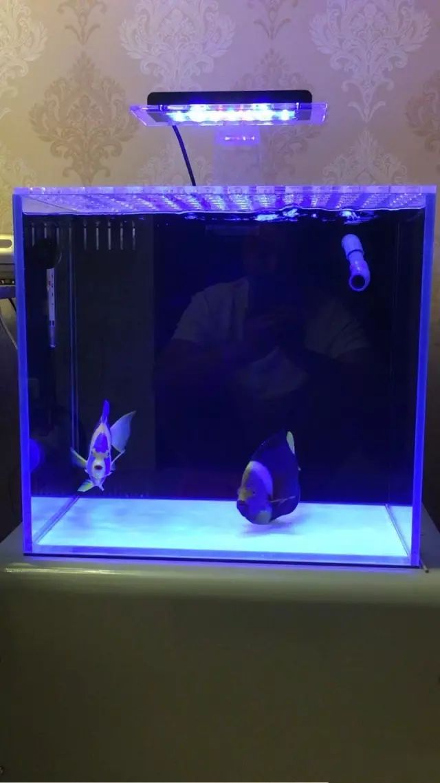 fot多大缸,fot高缸