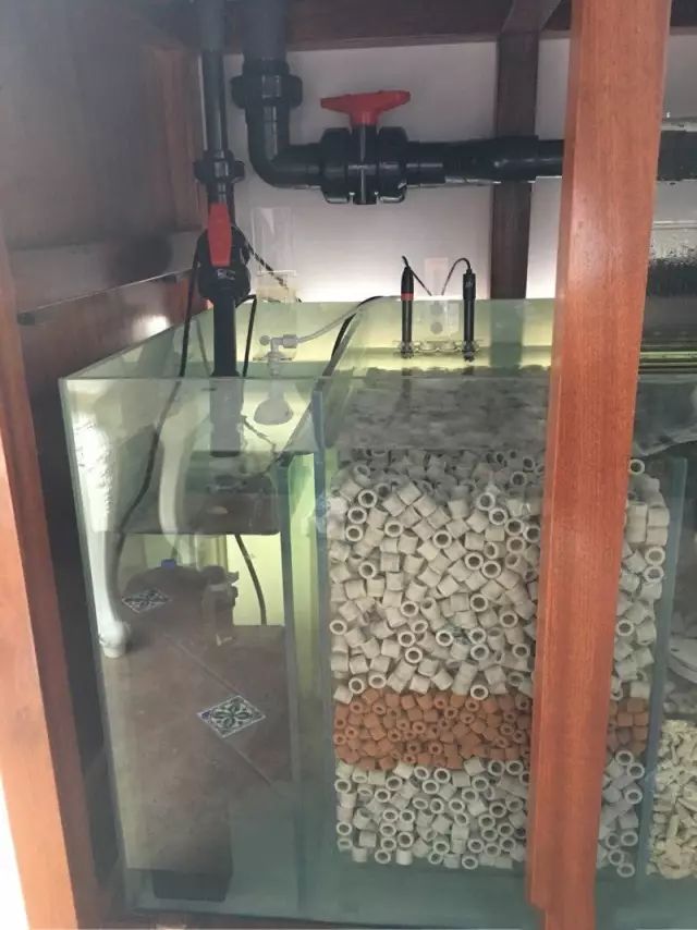 fot多大缸,fot高缸