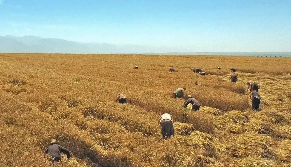 浅谈陈忠实的白鹿原的故事,作家陈忠实与他的白鹿原