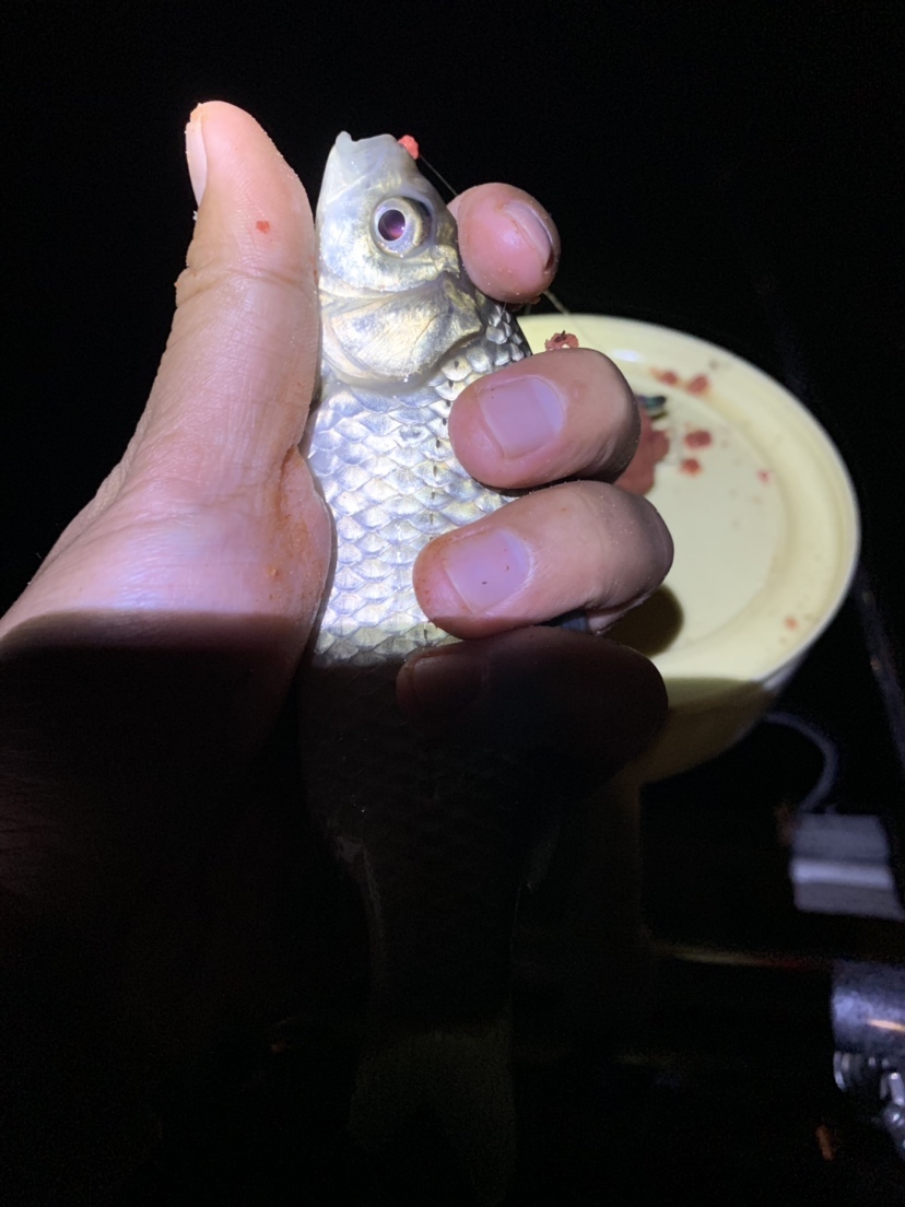 新竿开光有什么讲究,新竿开光爆护