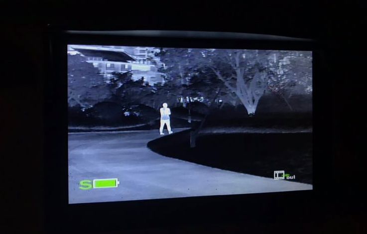 宠物“侦探”：摸透了猫狗习性，也看到了复杂人性