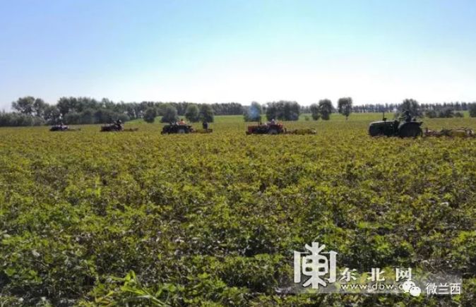 黑龙江省美丽乡村建设示范村名单,辽宁11个村镇入围全国示范