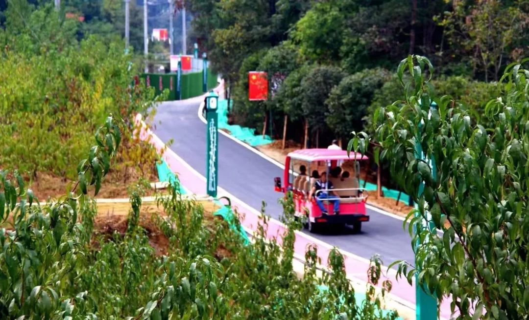 竹溪旅游最好的去处,竹溪网红打卡地今天视频