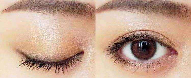 别再把头寄给我了，保姆级教程只发一次