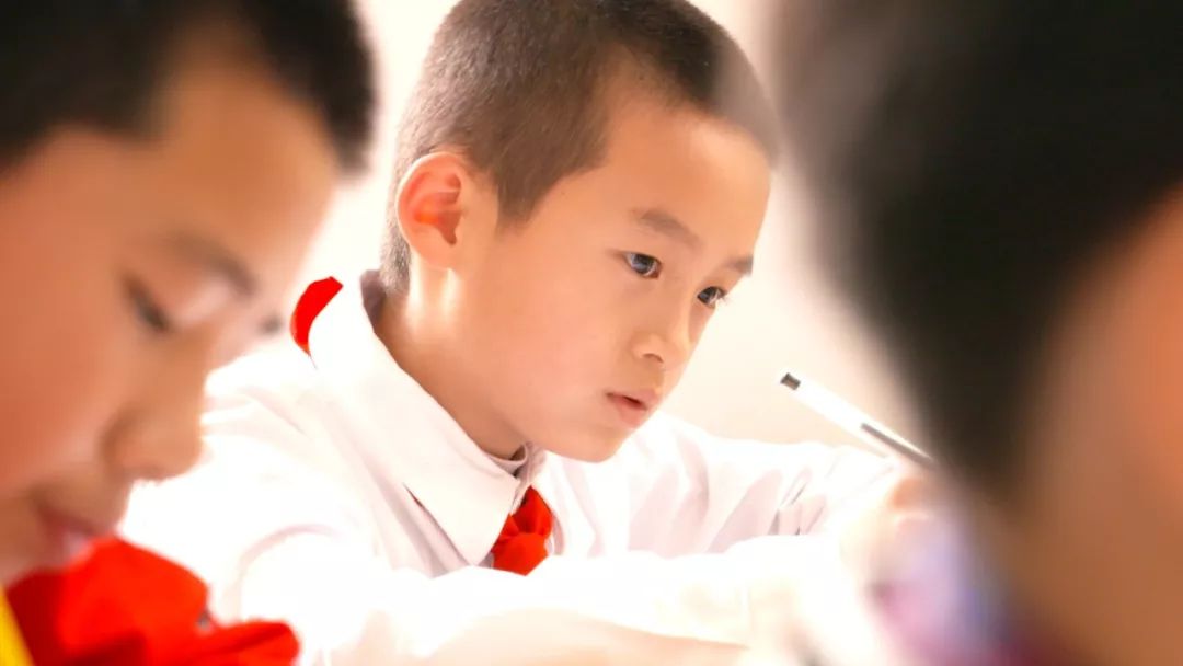 红领巾国学,红领巾国学达人