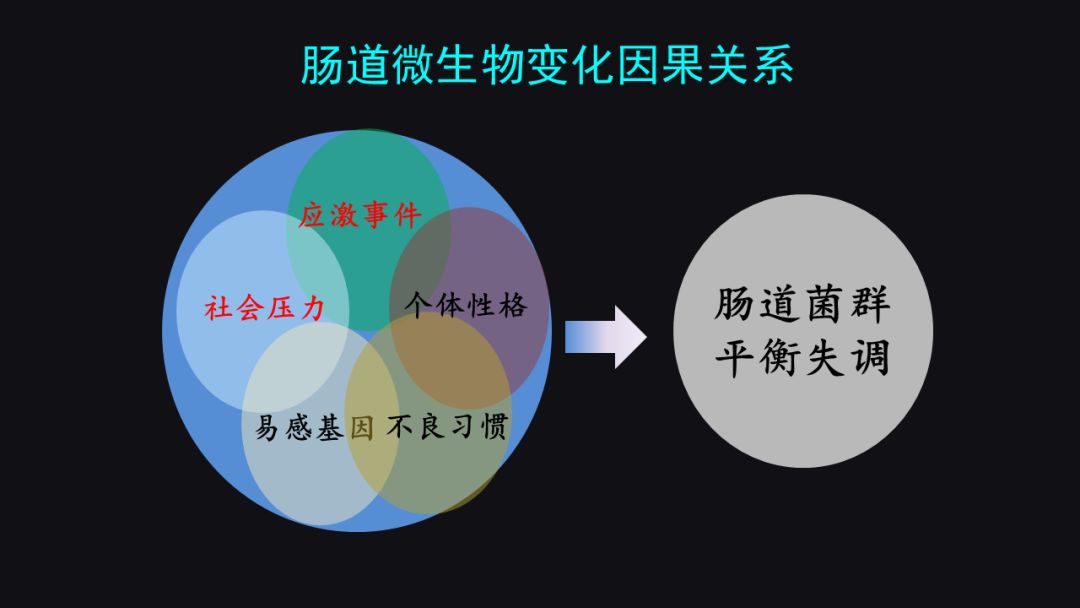 李宁奋斗历程英文版,李宁夜以继日