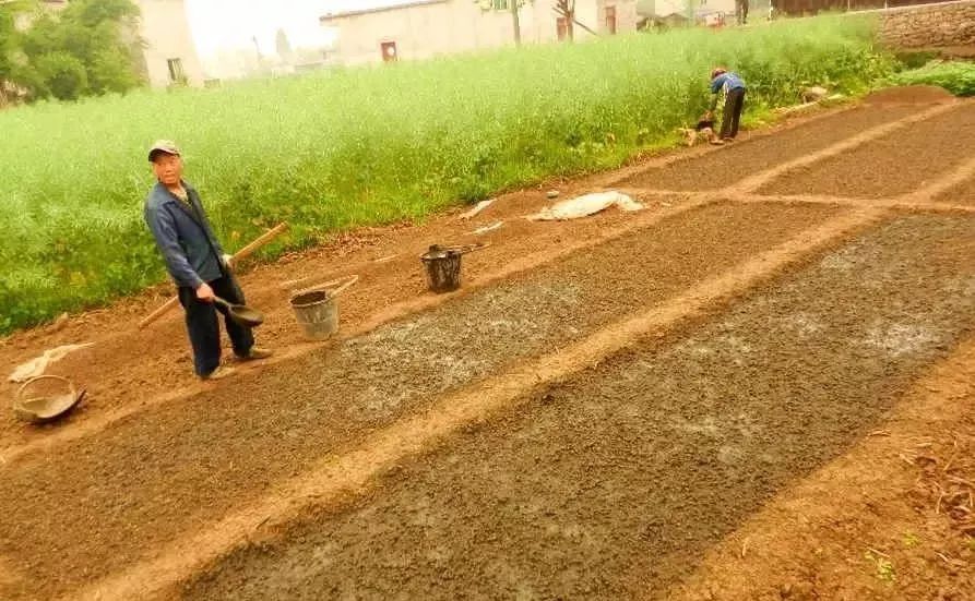 面临重茬，我们怎么办？（实用好文）