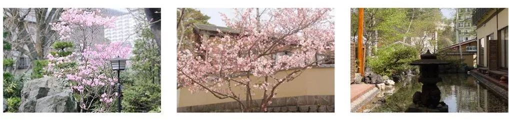 草津温泉之旅,冬季去草津温泉