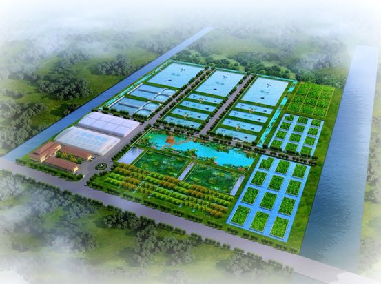 淡水养殖技术大全,淡水养殖如何赚钱