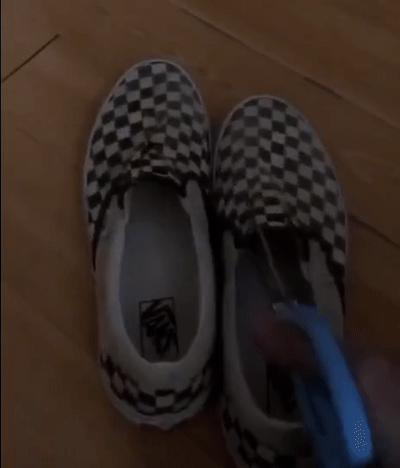 香港反对派气冲冲剪Vans鞋，为什么？