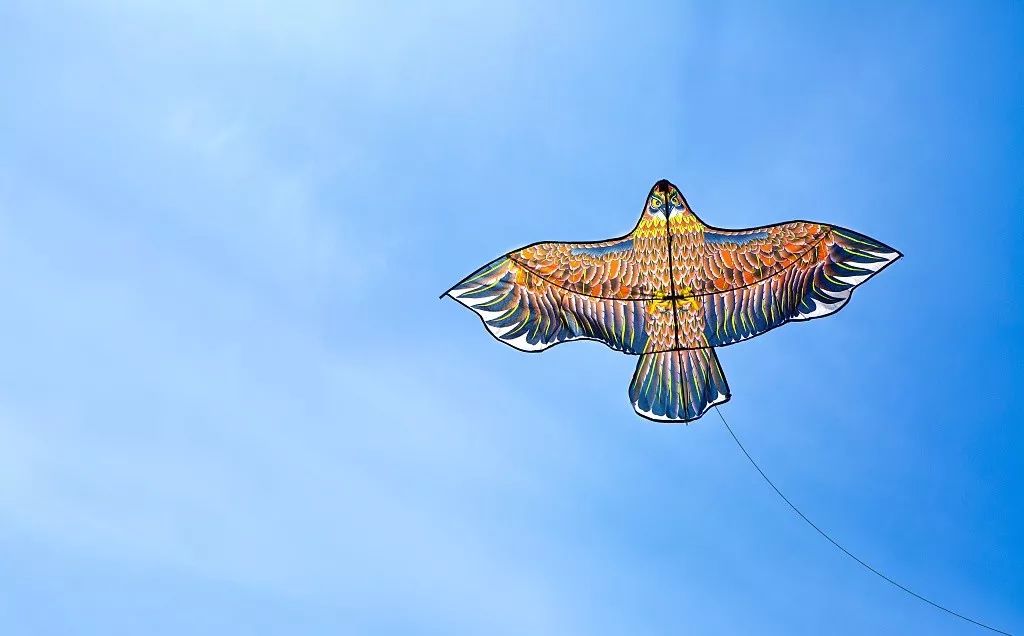 上海风筝大赛,松江举办大型比赛