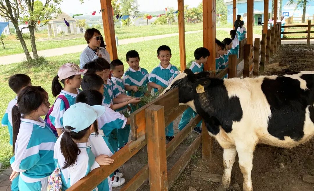 花溪区碧桂园国际学校幼儿园,贵阳花溪碧桂园国际学校