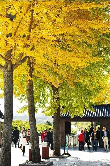 蓬莱夏天的海边,带你领略蓬莱好风景