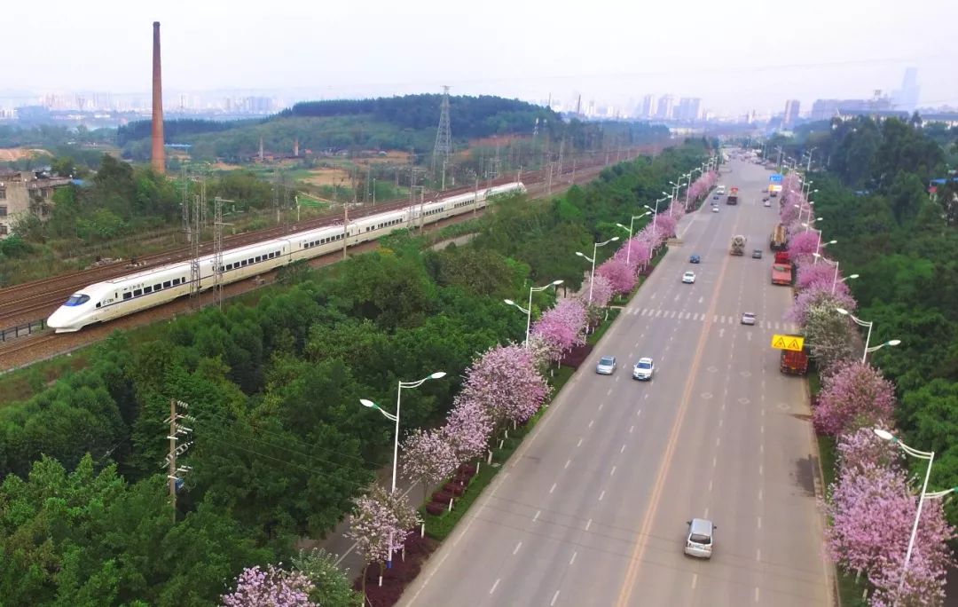 南宁高铁可以刷二维码进站嘛,广西刷码进高铁站