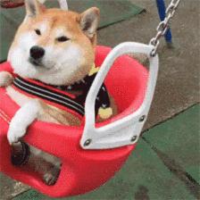 成都首座专业足球场,成都将建12个专业足球场