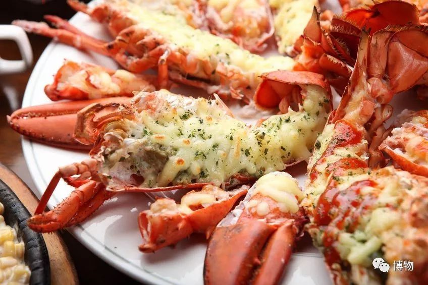 为了变成纯纯的*棍肉**，虾真是操碎了心