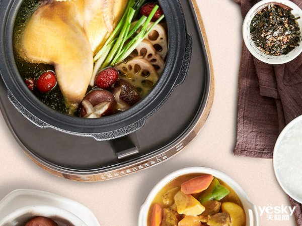 压力锅和电饭煲测评,电压力锅质量排名前十名科普