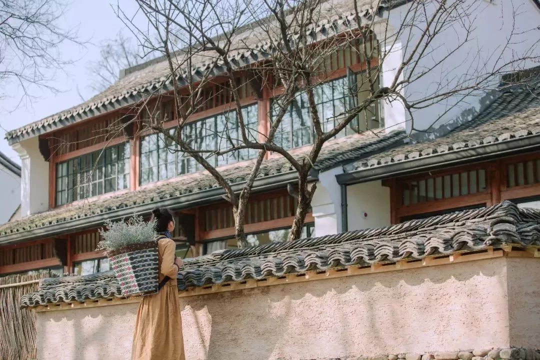 耗时3年的花间堂创始人新作，以船代步揭开杭城小众一面