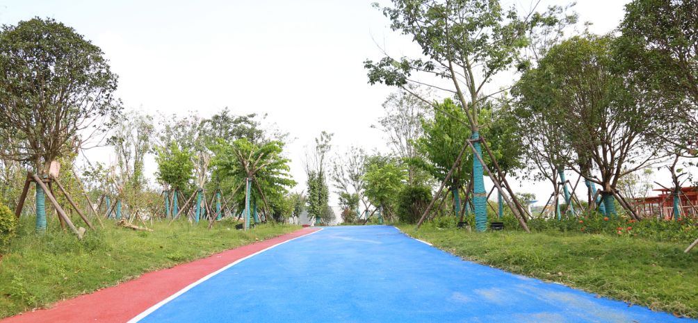 贵港的发展变化,贵港十年的生态变化