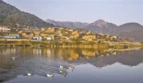 广西南宁上林旅游景点大全,广西上林有什么景点