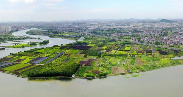 96.13分，全区首个！这个村的萧山人，太幸福