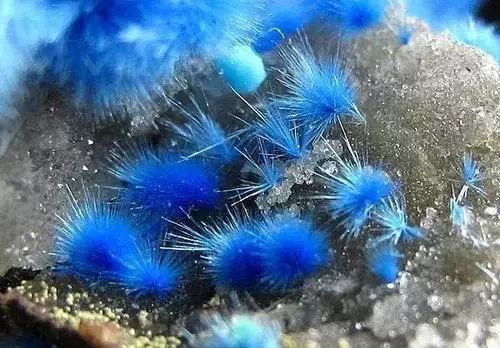 谁还不是个小可爱文案,谁小时候还不是个小可爱