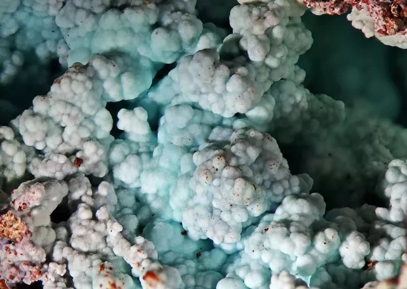 谁还不是个小可爱呢下一句,谁还不是小可爱