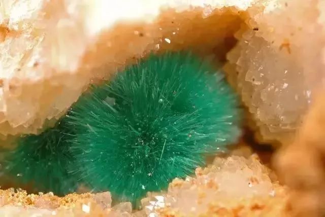 谁还不是个小可爱文案,谁小时候还不是个小可爱