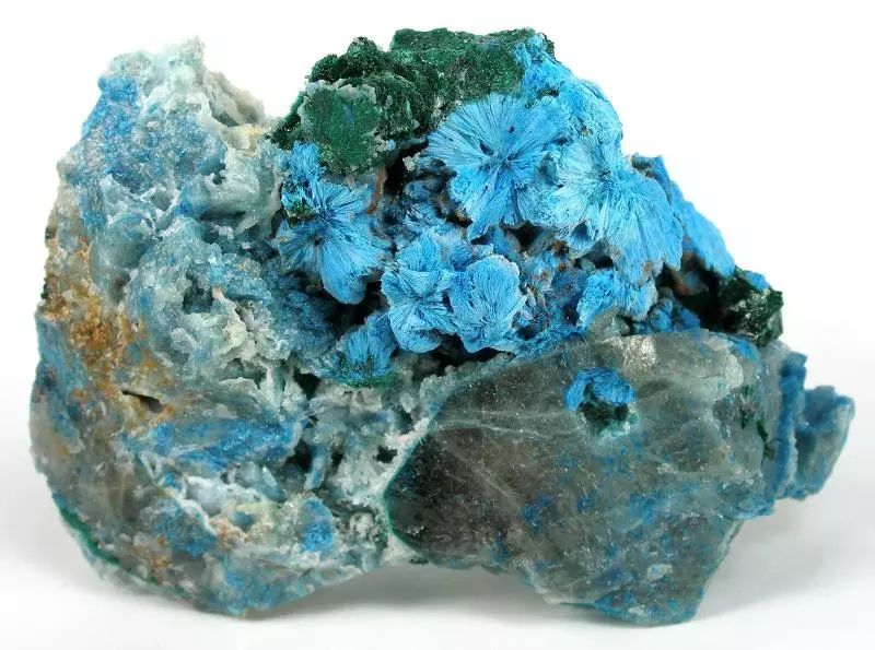 谁还不是个小可爱呢下一句,谁还不是小可爱