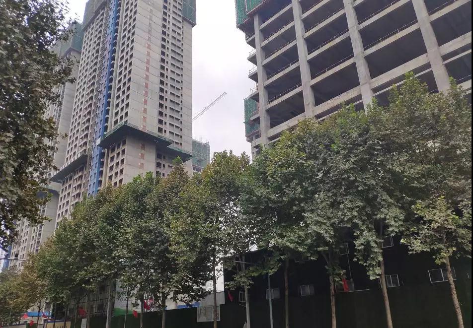 金沙最近怎么样了,金沙是什么来头