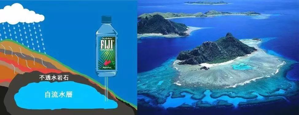 淘宝种草好物推荐哪个平台,淘宝种草好物一元购是真的吗