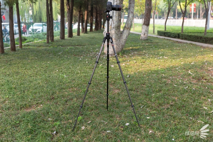 轻便性价比三脚架,轻便脚架