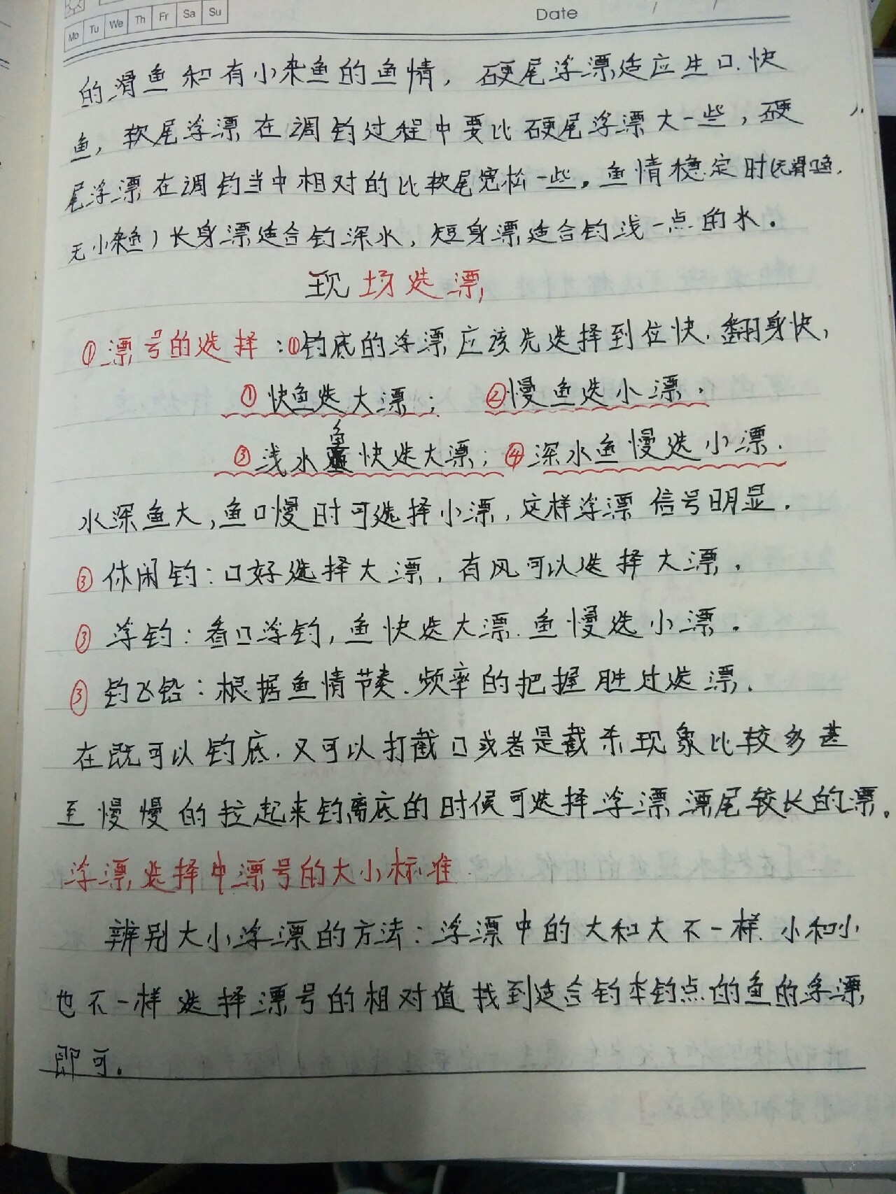自从找寻到为爱钓鱼的你以后……