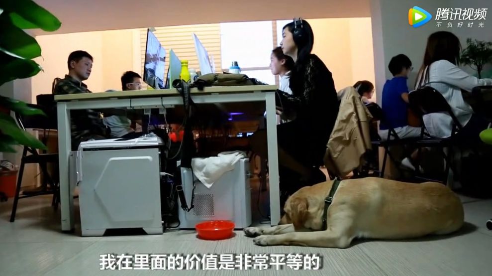 世界盲人日关爱他人,国际盲人日由来动画视频