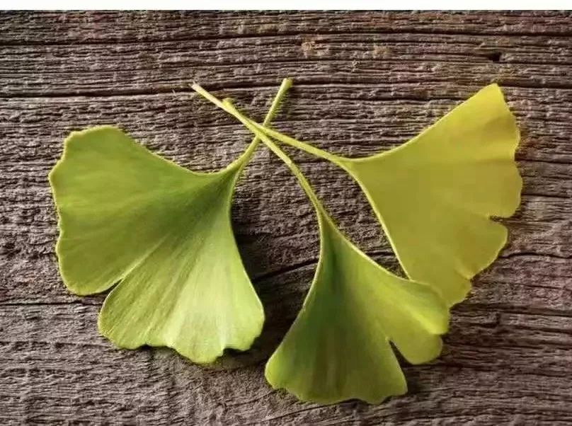 她用崇明元素打造的面膜和服饰，都成了抢手货！