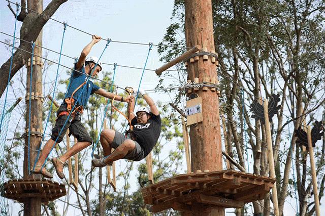 抖音盒子开启潮流生活,盒子生活是什么