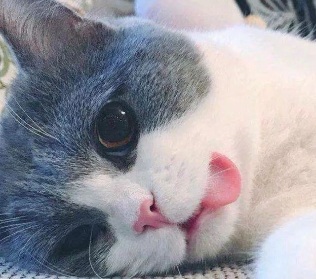 代购罚款100万判几年,留学生代购金额多少违法