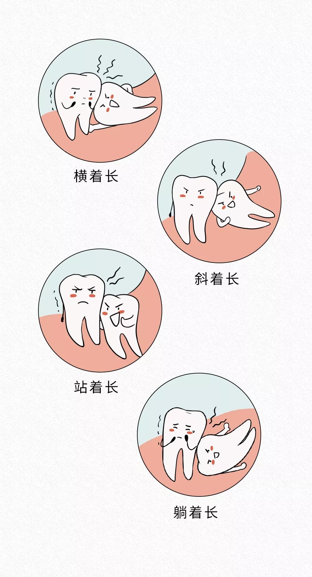 拔智齿的全过程漫画,智齿漫画版